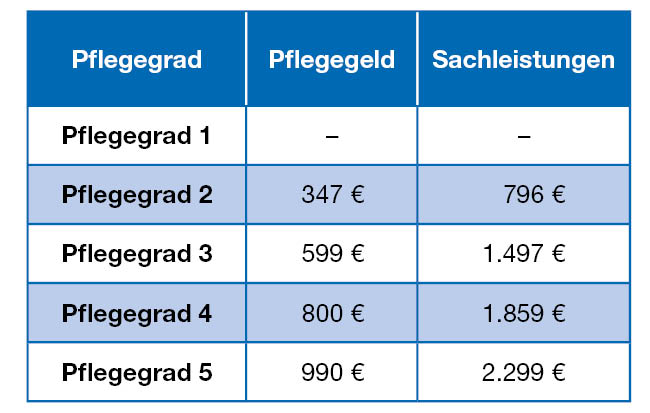Tabelle mit den Leistungen der Pflegeversicherung in Deutschland. Sie zeigt die monatlichen Beträge für Pflegegeld und Sachleistungen nach Pflegegraden. Pflegegrad 2 erhält 347 Euro Pflegegeld und 796 Euro Sachleistungen. Pflegegrad 4 erhält 800 Euro Pflegegeld und 1.859 Euro Sachleistungen.