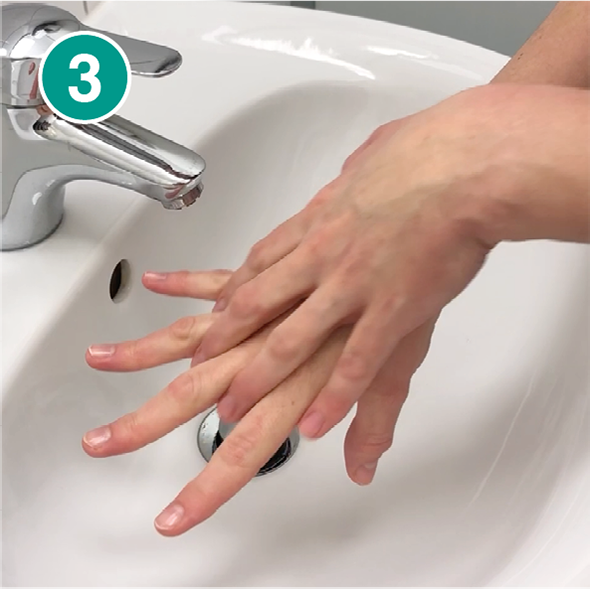 Nahaufnahme von zwei Händen über einem weißen Waschbecken, die sich im dritten Schritt des Händewaschens befinden. Die Finger beider Hände sind ineinander verschränkt, um die Zwischenräume gründlich zu reinigen. Ein silberner Wasserhahn ist im Hintergrund sichtbar. Oben links im Bild ist ein grüner Kreis mit der weißen Zahl „3“ zu sehen, der den dritten Schritt einer Händehygiene-Anleitung markiert.