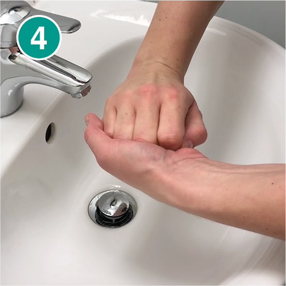Nahaufnahme von zwei Händen über einem weißen Waschbecken im vierten Schritt des Händewaschens. Eine Hand umschließt die andere, um die Fingerknöchel gründlich zu reinigen. Im Hintergrund ist ein silberner Wasserhahn sichtbar. Oben links im Bild befindet sich ein grüner Kreis mit der weißen Zahl „4“, der den vierten Schritt einer Händehygiene-Anleitung kennzeichnet.