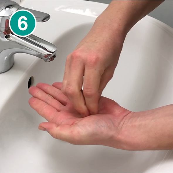 Nahaufnahme von zwei Händen über einem weißen Waschbecken im sechsten Schritt des Händewaschens. Die Finger der rechten Hand reiben die Handinnenfläche der linken Hand, um auch die Fingerspitzen gründlich zu reinigen. Im Hintergrund ist ein silberner Wasserhahn zu sehen. Oben links im Bild befindet sich ein grüner Kreis mit der weißen Zahl „6“, der den sechsten Schritt einer Händehygiene-Anleitung kennzeichnet.