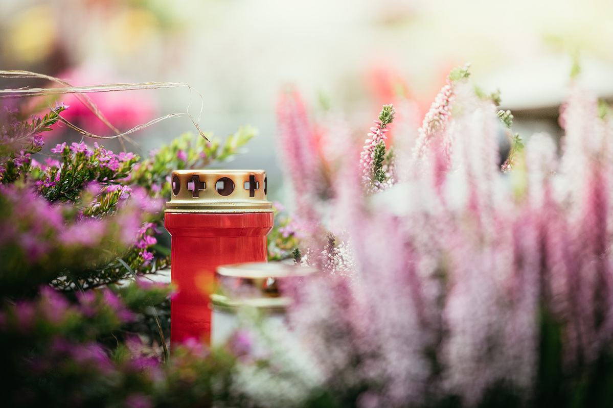 Rotes Grablicht mit goldenem Deckel, verziert mit Kreuz-Ausschnitten, steht zwischen violett und rosa blühenden Heidepflanzen. Das Lichtsymbol deutet auf eine Gedenkstätte oder einen Friedhof hin, mit unscharfem, sanft beleuchtetem Hintergrund.